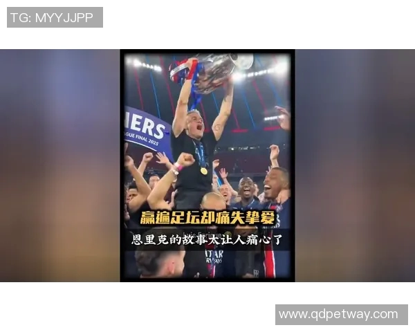 法国足球明星23号的传奇故事与辉煌成就解析