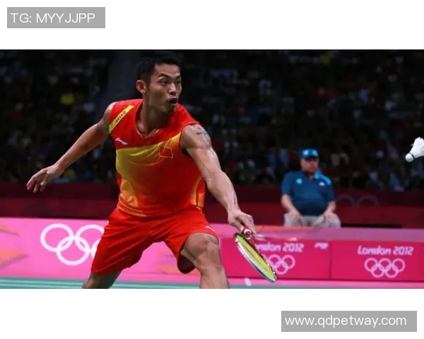 林丹与胡S精彩对决视频回顾赛场上的巅峰对决与精彩瞬间一览