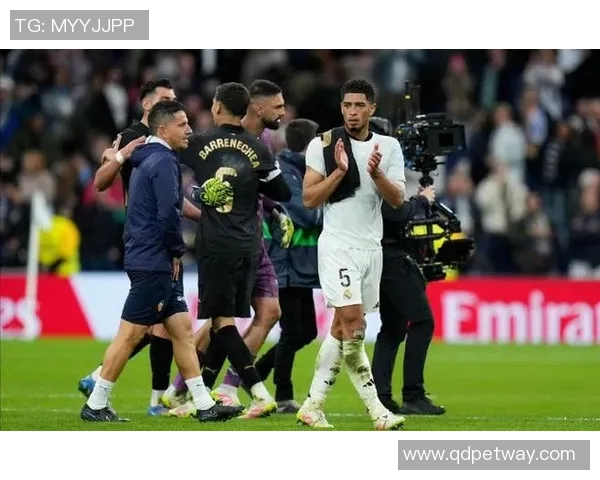 皇马与瓦伦西亚对决分析：战术博弈与球员表现的全面解读