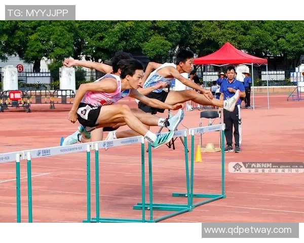 探索体育培训公司新模式助力青少年全面发展与健康成长