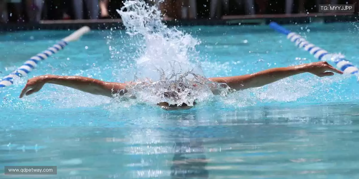 个性周边,彰显态度!👕💥