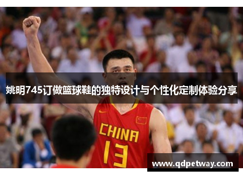 姚明745订做篮球鞋的独特设计与个性化定制体验分享