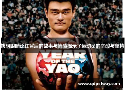 姚明眼睛泛红背后的故事与情感揭示了运动员的辛酸与坚持