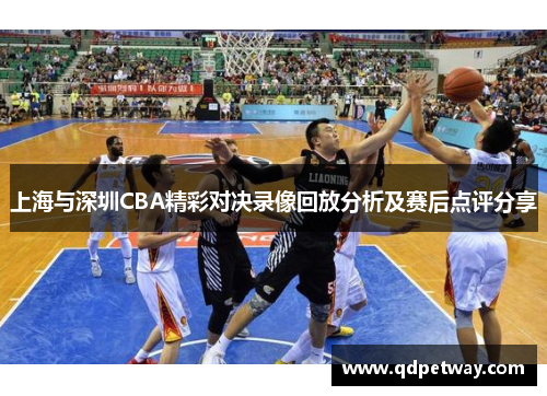 上海与深圳CBA精彩对决录像回放分析及赛后点评分享