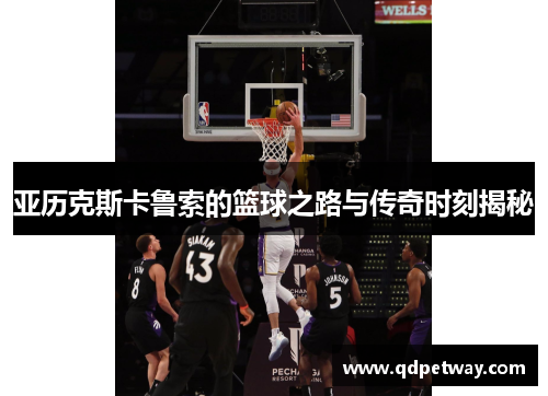 亚历克斯卡鲁索的篮球之路与传奇时刻揭秘